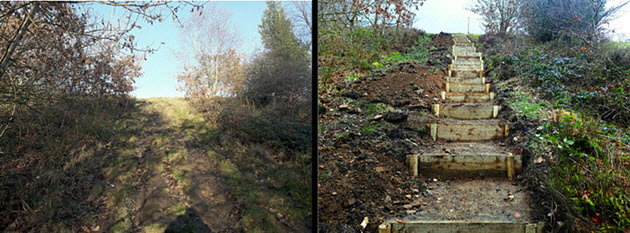 Redisher Wood Path Improvements - Photo 1